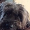 pup20102019_